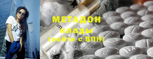 индика Богородск