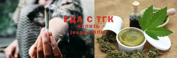 индика Богородск