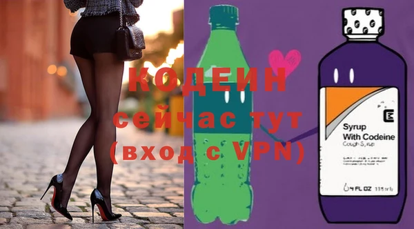 индика Богородск