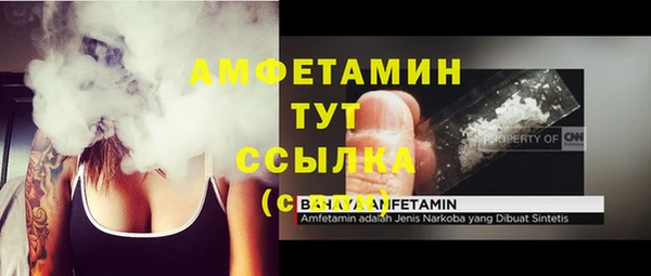 индика Богородск