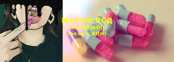 индика Богородск