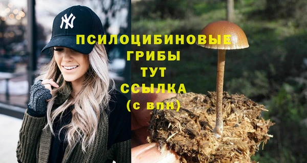 марки nbome Богородицк