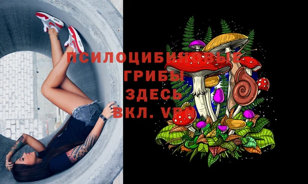 марки lsd Богданович