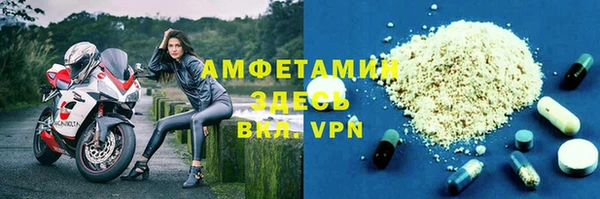 индика Богородск
