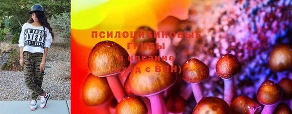 марки lsd Богданович